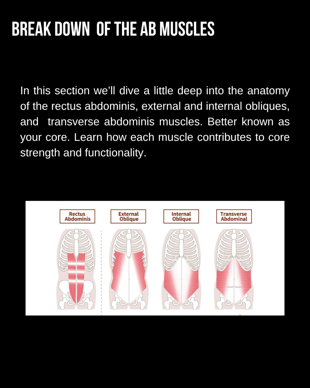 The Body Check (Abs)