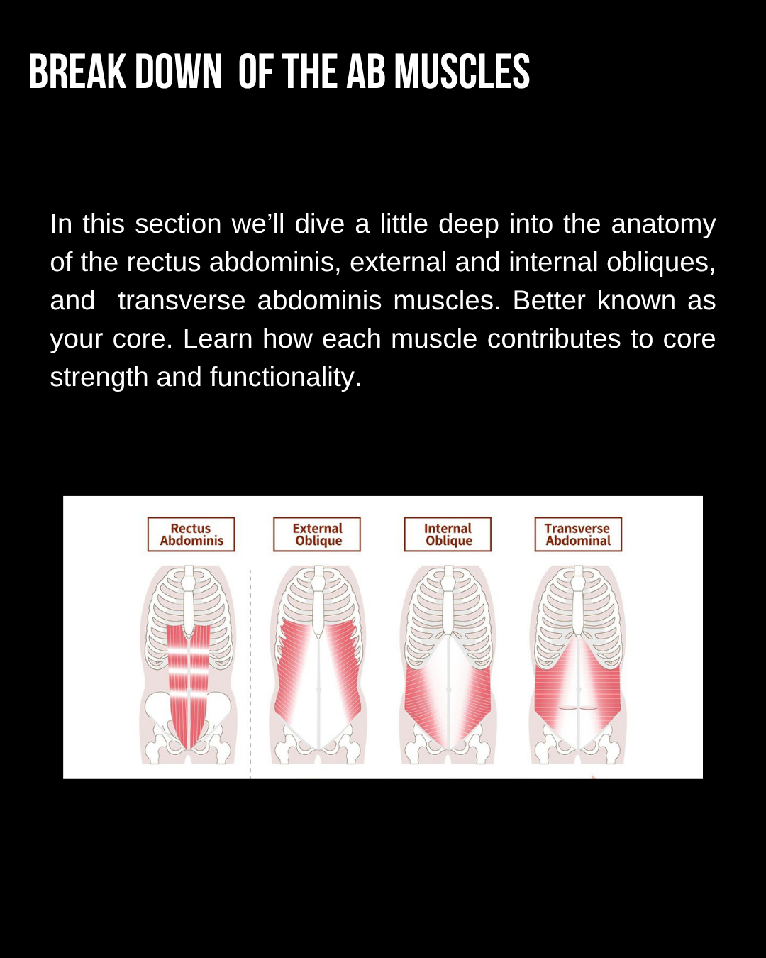 The Body Check (Abs)